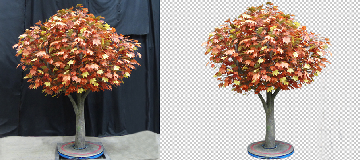 clipping path Service