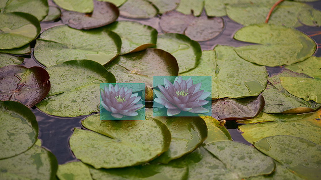 Bounding Box Annotation Service Sample 8