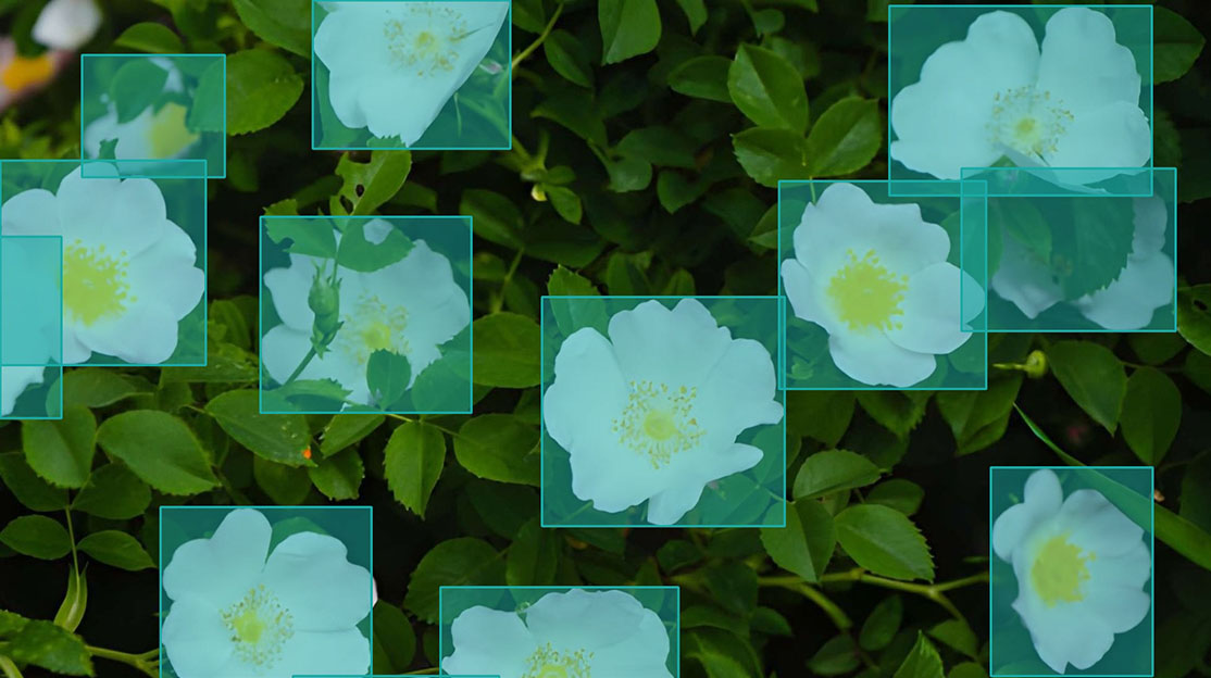 Bounding Box Service Sample 3